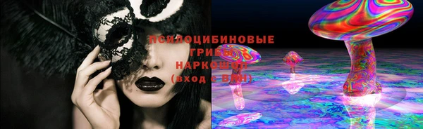 spice Горняк