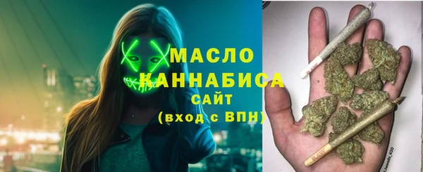 индика Горнозаводск