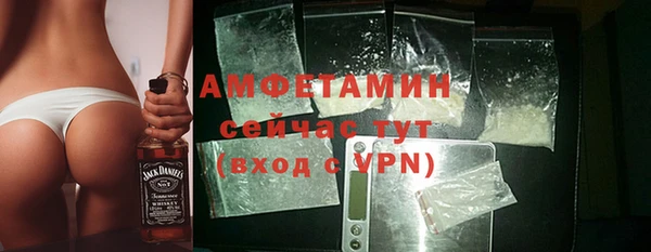 индика Горнозаводск
