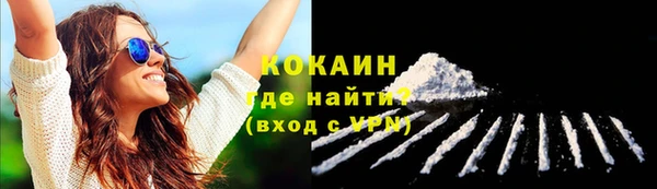 индика Горнозаводск