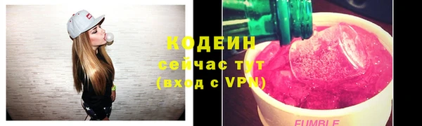 индика Горнозаводск
