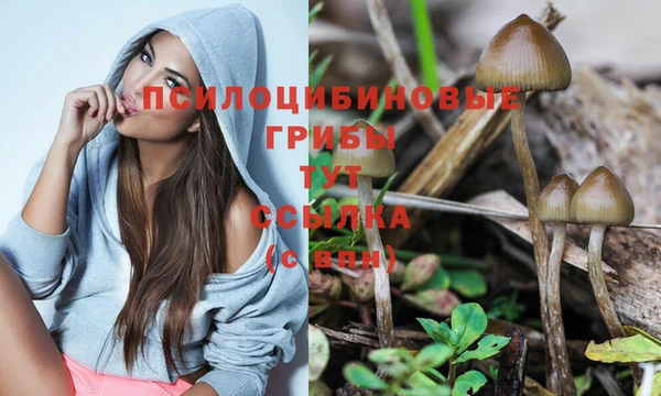 MDMA Premium VHQ Горно-Алтайск