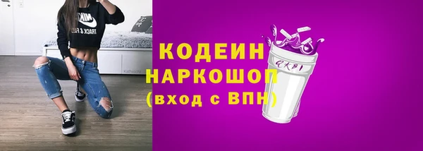 индика Горнозаводск