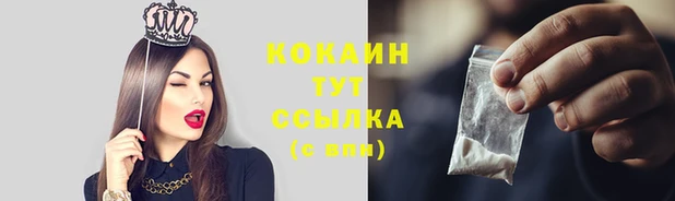 прущая мука Магас