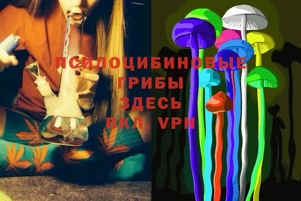 индика Горнозаводск