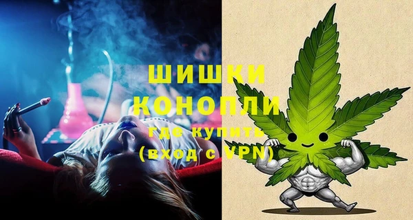 индика Горнозаводск