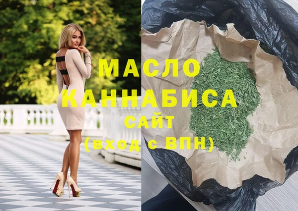 индика Горнозаводск