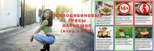 spice Горняк