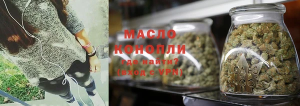 индика Горнозаводск