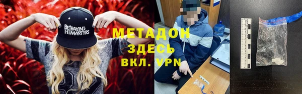 индика Горнозаводск