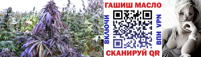 ТГК THC oil  как найти   Мценск 