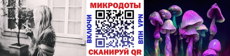 как найти Мценск Псилоцибиновые грибы Magic Shrooms
