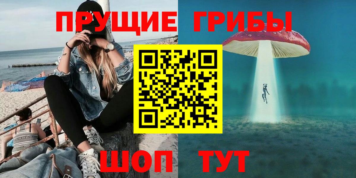 Псилоцибиновые грибы мицелий Мценск