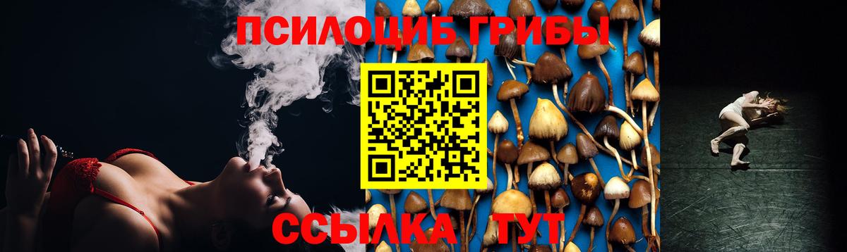 Мценск  Галлюциногенные грибы GOLDEN TEACHER  Вход с VPN 